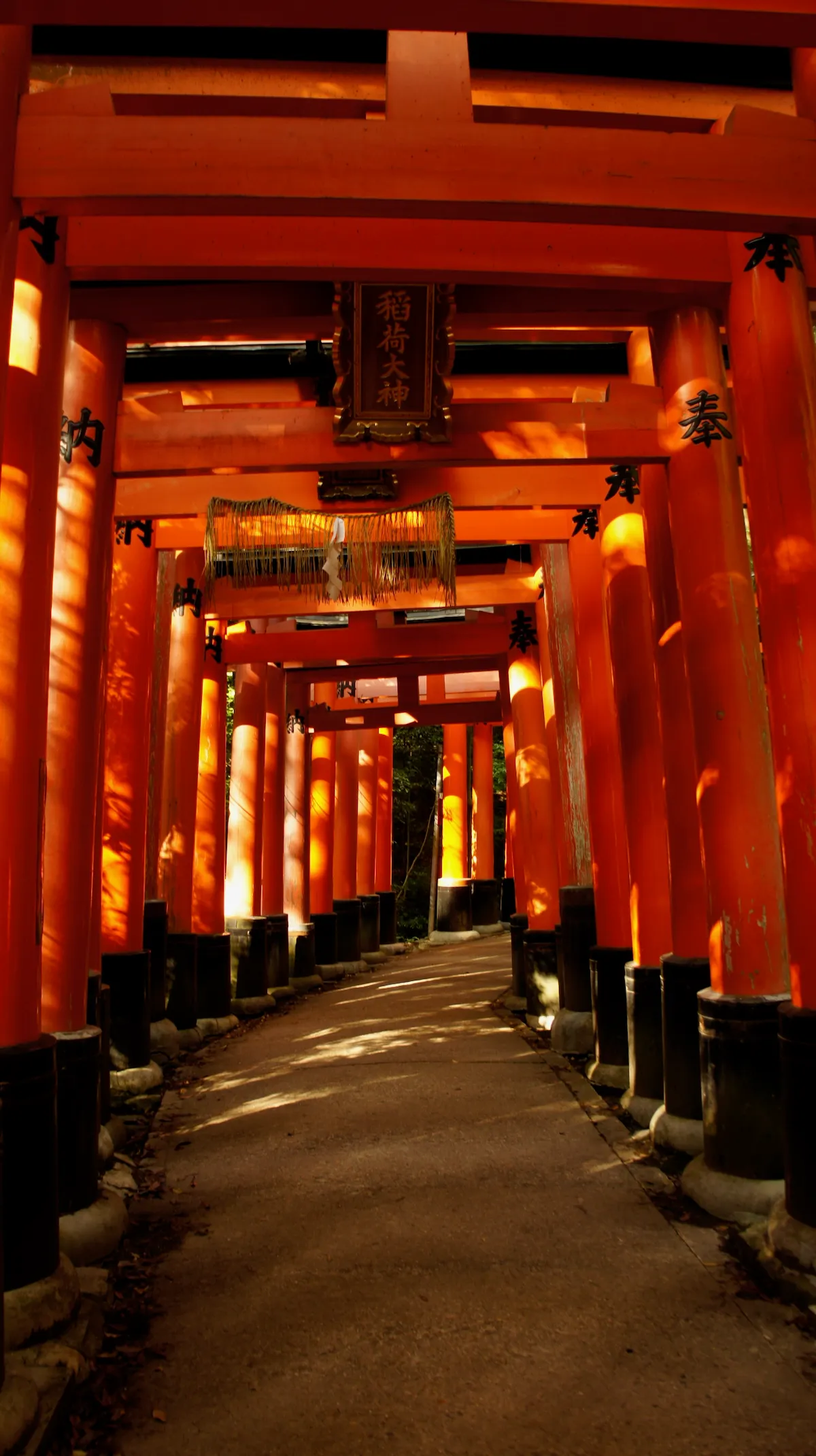 What I saw as I approached Mt. Inari