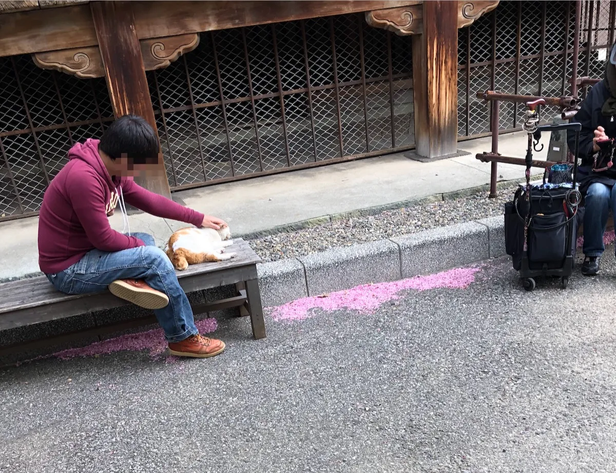 Some people like me relaxed with a cat at a bench in Gokokuji