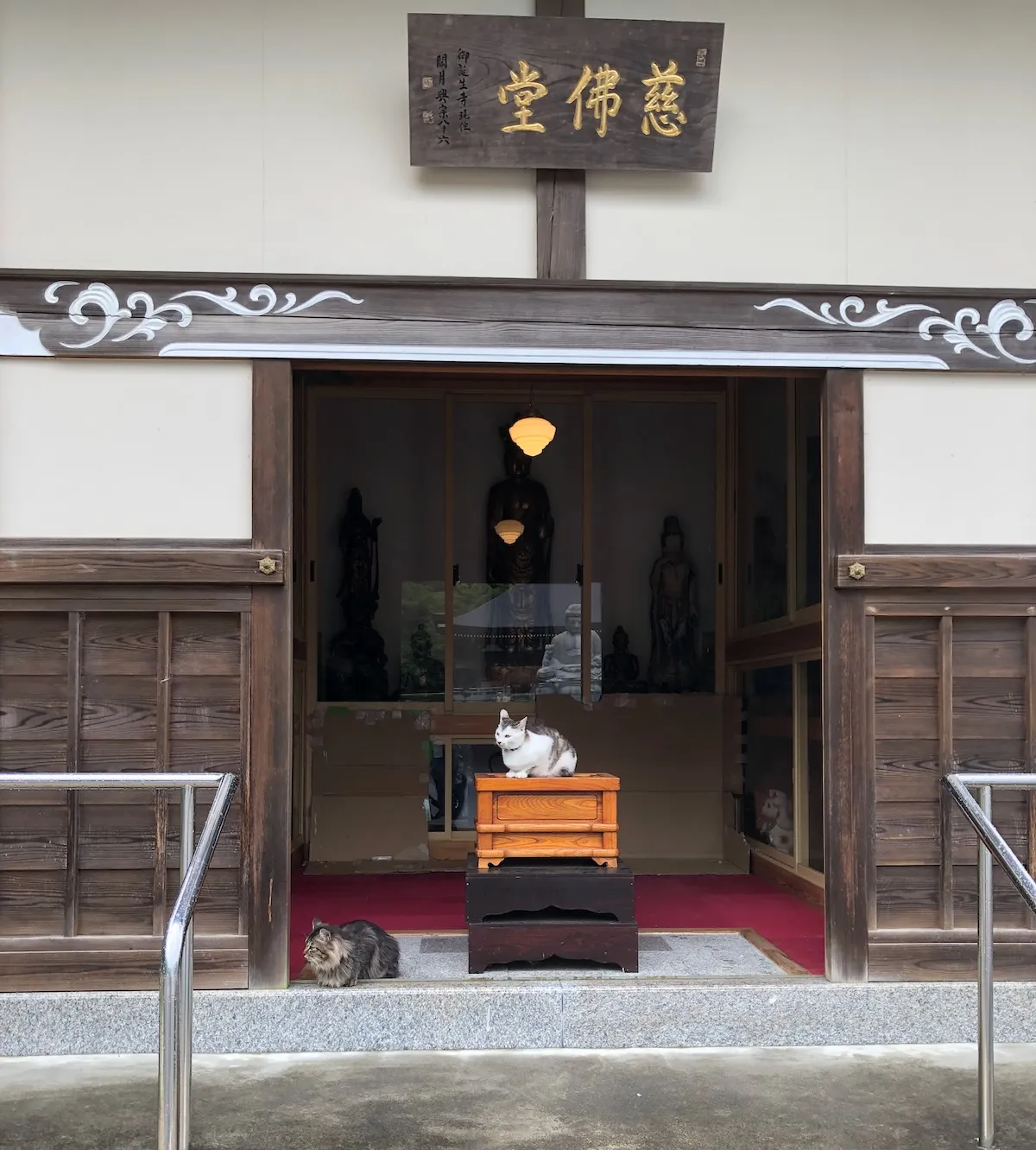 Two cats were sitting at the entrance of a smaller room in Gotanjouji
