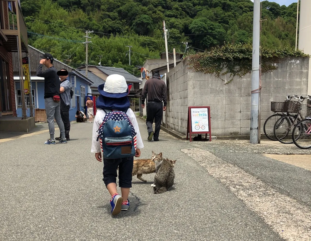 Interactions among the local residents in Ainoshima