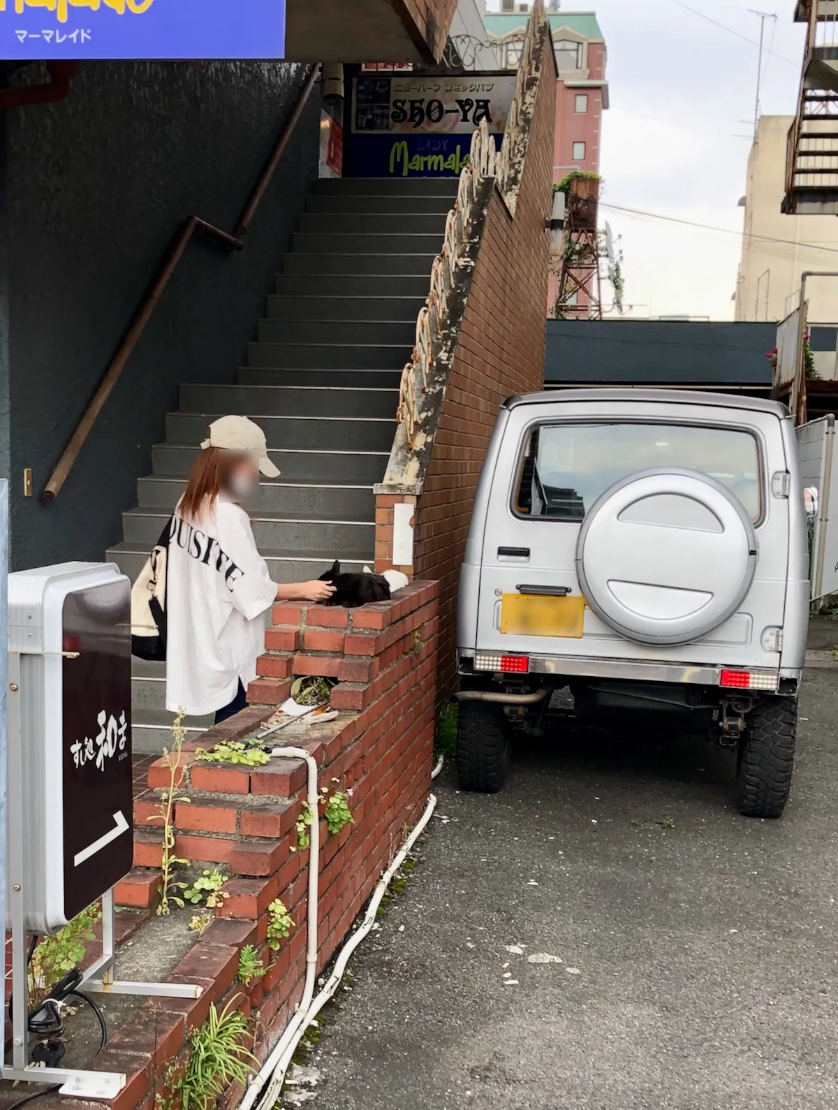 A Local Resident Went out and Greet the Cat near Her Apartment.
