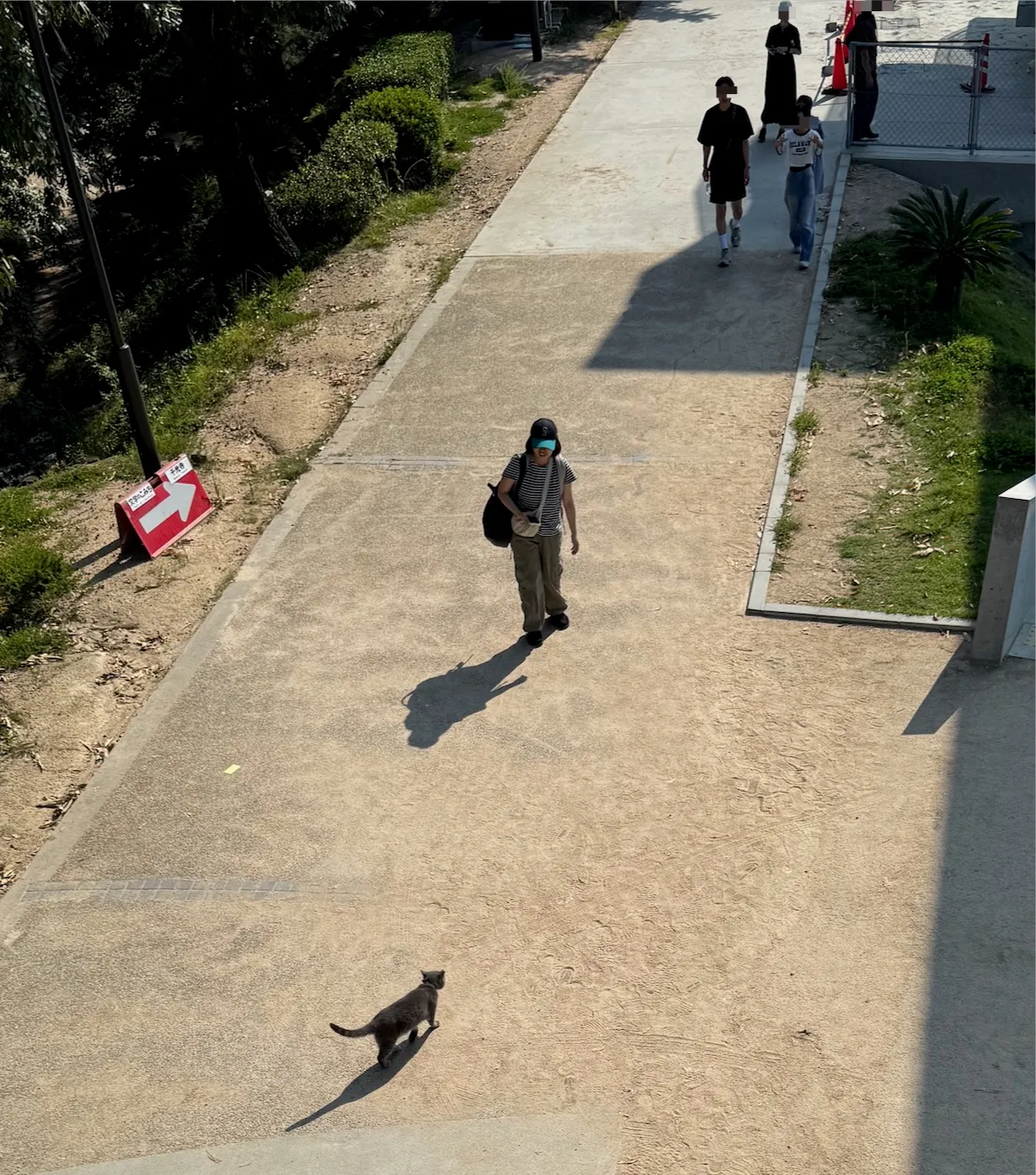 A Cat at Mt. Senkoji Rope Way Station.